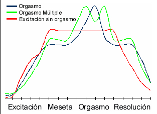 excitación, orgasmo, multiorgasmo