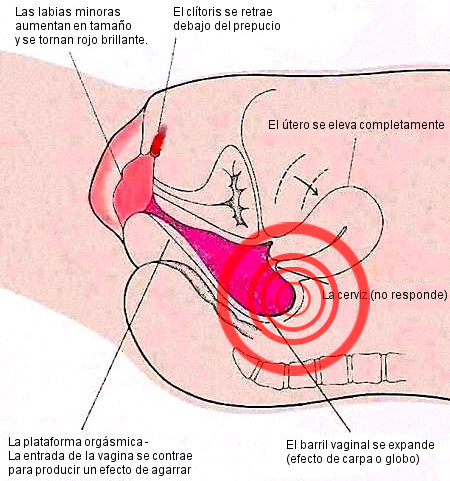 orgasmo vaginal, mujer